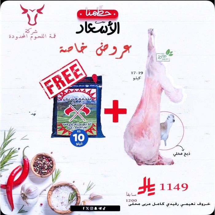 خروف رفيدي مربى مح..
